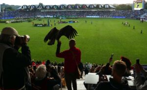 Flüsteradler. Letzte Info vor Abflug. 